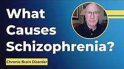 What Causes Schizophrenia?