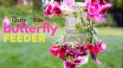 DIY Butterfly Feeder - Crafts for Kids