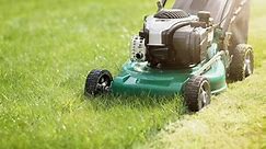 15 best lawn mowers in Canada for 2024: Electric, gas, self propelled, cordless & riding options
