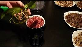 Orchideen Pflege-Tipps - Folge 7: Umtopfen in ein Orchitop mit Colomi