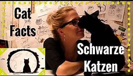 Cat Facts - Folge 7: Schwarze Katzen