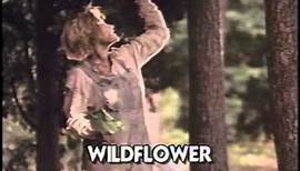 Wildflower 1991 Movie Trailer