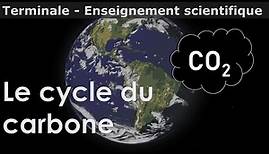 Le cycle du carbone - Enseignement scientifique - Terminale