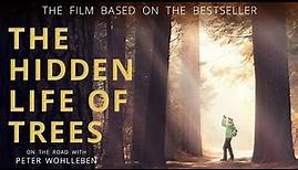 The Hidden Life of Trees - Official Movie Trailer (2021)