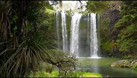 Whangarei Falls Northland New Zealand | 10 hrs of relaxing Waterfall Sounds