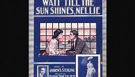 Harry Tally - Wait 'Till the Sun Shines, Nellie (1906)