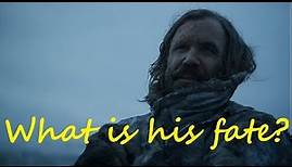 What is the Hound's fate? (Game of Thrones)