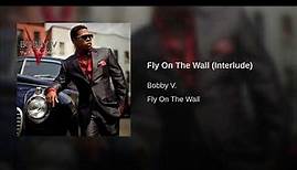 Fly On The Wall (Interlude)