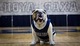 Georgetown mascot ‘Jack the Bulldog’ dies after brief illness