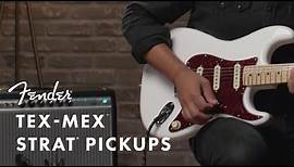 Tex-Mex Pickups | Fender