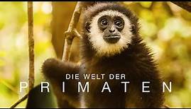 Die Welt der Primaten - Trailer [HD] Deutsch / German