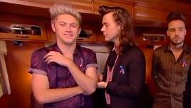 harry styles and niall horan being an iconic duo