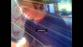 Angel :: AVAILABLE LIGHT :: James McCartney