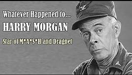 Whatever Happened to Harry Morgan - Star of M*A*S*H and Dragnet