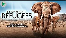 ELEPHANT REFUGEES: WHERE ELEPHANTS RULE 🌍 Full Exclusive Nature Documentary 🌍 English HD 2023