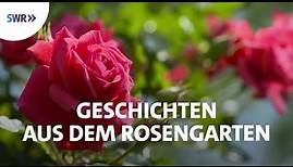 Faszinierende Welt der Rosen | SWR Doku