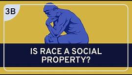 PHILOSOPHY - Race: Racial Ontology #3b (Sociohistorical Theories of Race)