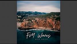 FM Waves