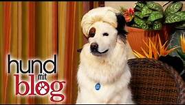 Hund mit Blog - Eine neue Staffel - Ab dem 22.06. täglich im DISNEY CHANNEL