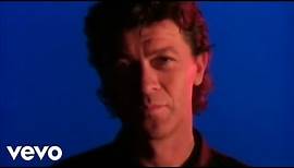 Robbie Robertson - Somewhere Down The Crazy River (Official Music Video)