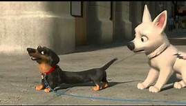 Bolt - Ein Hund für alle Fälle 3D (Trailer - deutsch)