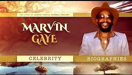 Marvin Gaye Biography - Life and Career of the Soul Singer