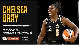 Chelsea Gray Highlight Mix! (Vol. 1) 2023 Season | WNBA Hoops