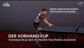 Vorhand-Flip I Technikleitbild der Deutschen Tischtennis-Akademie