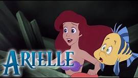 Arielle - Die Meerjungfrau - Disney DVD und Blu-ray - Diamond Edition - HD - Disney
