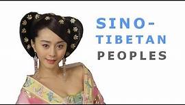Sino-Tibetan Language Family