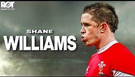 Shane Williams | Ultimate Tribute