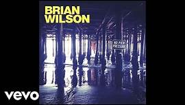 Brian Wilson - One Kind Of Love (Audio)