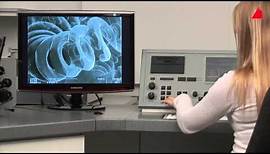 The Scanning Electron Microscope