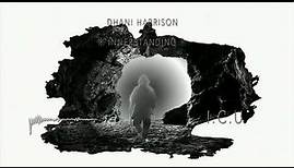 Dhani Harrison - I.C.U (Official Audio)