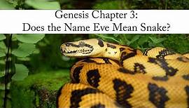 Genesis 3: Does the Name Eve Mean Snake?