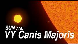 Sun and VY Canis Majoris Comparison