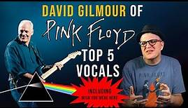 Story Behind David Gilmour of Pink Floyd's Best Vocal Performances | VOX | Professor of Rock