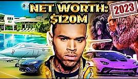 Chris Brown Net Worth & Lifestyle: How he SPENDS his MONEY