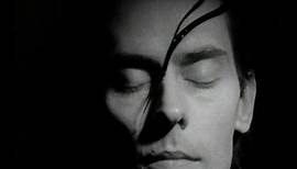 Peter Murphy - Cuts You Up HD