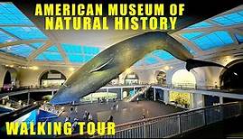 American Museum of Natural History walking tour - New York City - Full Walkthrough