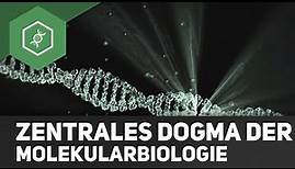 Zentrales Dogma der Molekularbiologie