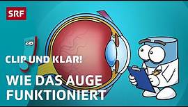 Clip und klar! – Wie ist dein Auge aufgebaut? | Kindervideos | SRF Kids