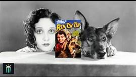 Rin Tin Tin - Die Rückkehr (1947) Stream, Kompletter Filmklassiker, Film in voller Länge auf Deutsch
