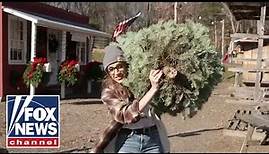 WATCH: Kat Timpf cuts down a Christmas tree