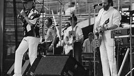 The Beach Boys- Live in Sankt Goarshausen 1993/06/19