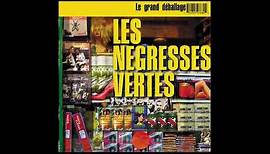 Les Négresses Vertes - Les mégots (acoustic clubbing) (Audio Officiel)