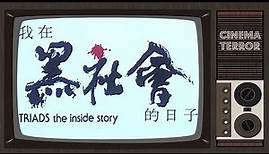 Triads: The Inside Story (1989) - Movie Review