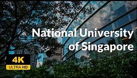 4K UHD Walking Tour - NUS (National University of Singapore) Campus Tour - 新加坡国立大学