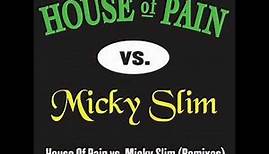 House of pain - Jump Around (Micky Slim Remix)