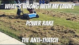 Why and how to power rake or dethatch a lawn